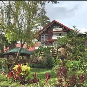 Log Cabin Hotel - Baguio